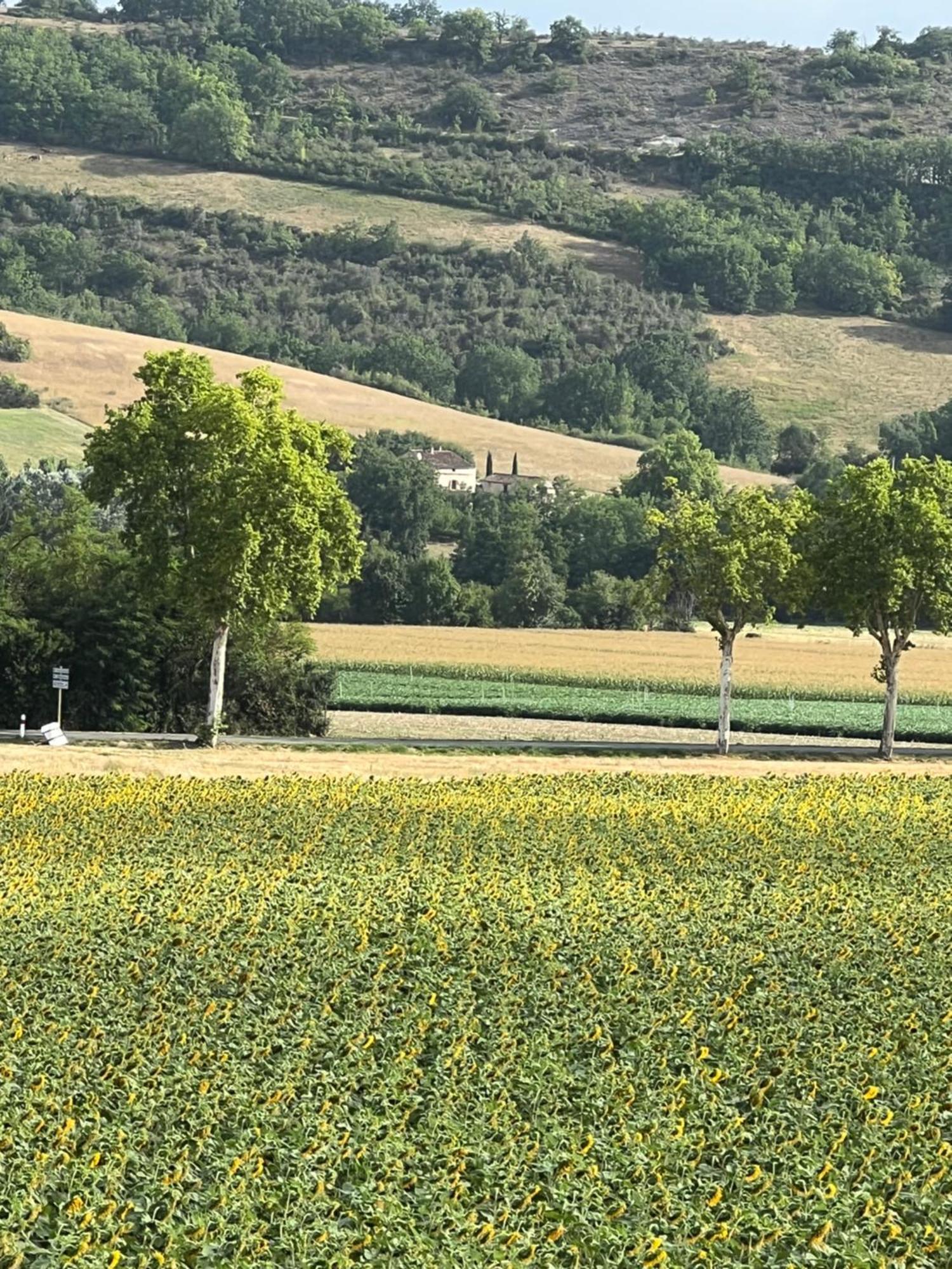 La Bastide De La Bogne Bed & Breakfast Vindrac-Alayrac Bagian luar foto